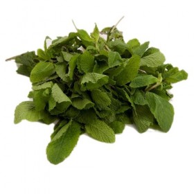 Menta Fresca