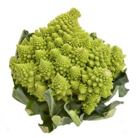 Romanesco