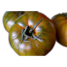 Tomates de Ensalada