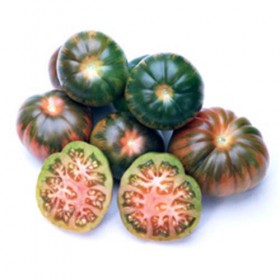 Tomate Pata Negra
