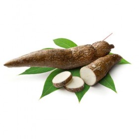 Yuca