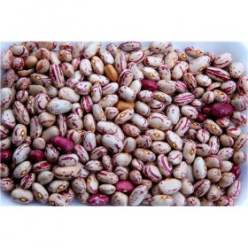 Alubia Pinta de Ávila