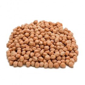 Garbanzo Castellano