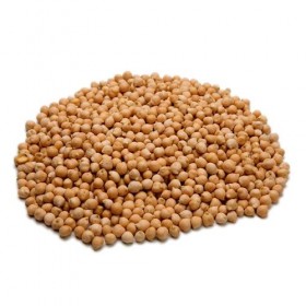 Garbanzo Pedrosillano