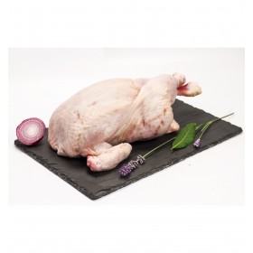 Pollo Tomatero