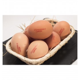 Huevos de Corral