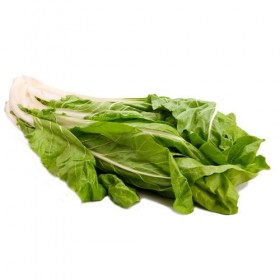 Acelgas del Terreno