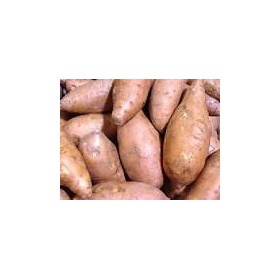 batata