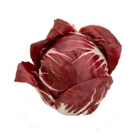 Achicoria