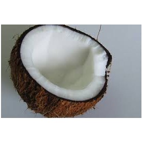 cocos