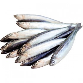 Boquerones Gordos