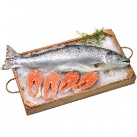 Salmón Noruego