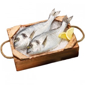 Dorada Nacional