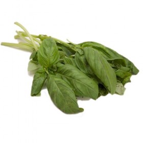 Albahaca fresca manojo