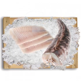 Filetes de Rosada