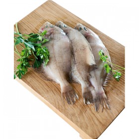Gallo de Ración