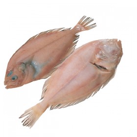 Filetes de Gallo