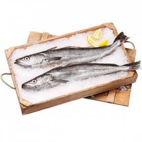 pescadilla de pincho