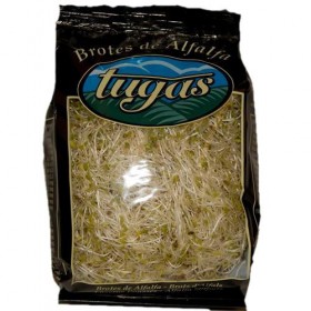 Alfalfa Germinada
