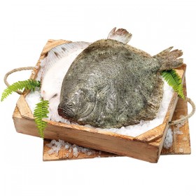 Rodaballo Gallego
