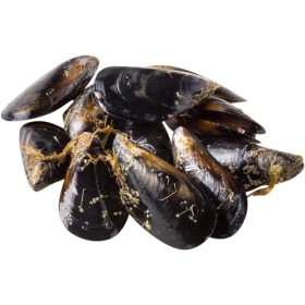 Mejillones Gordos Gallegos