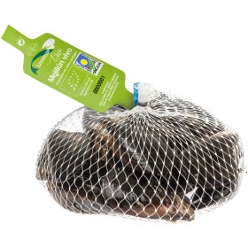 Mejillones Gallegos Ecológicos