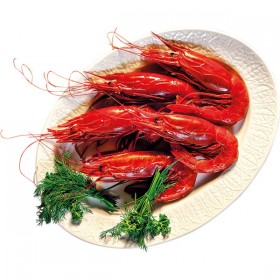 Carabineros