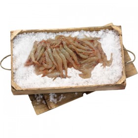 Gamba para PLancha