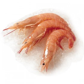 Gambon