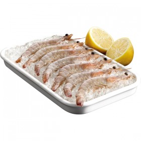 Langostino Crudo