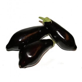 Berenjena