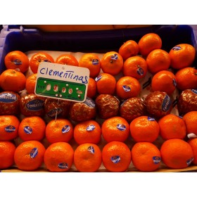 Clementinas Fontestad