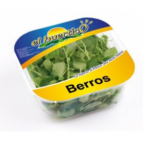 Berros Frescos