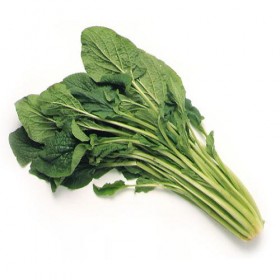 Borraja