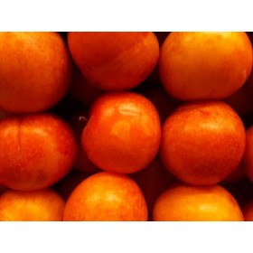 MANZANAS FUJI