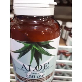ALOE  VERA