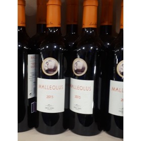 VINO TINTO DE RIBERA DUERO