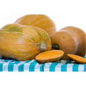 Calabaza Carruecano