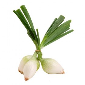 Cebolleta Fresca