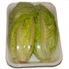 Cogollos de Lechuga