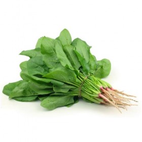espinaca fresca