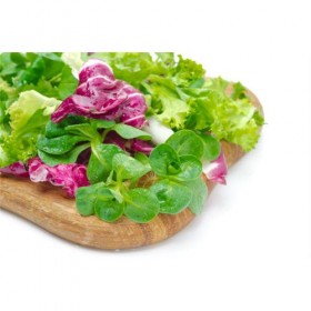 Ensalada Gurmet