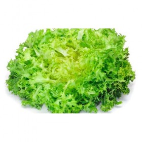 Escarola Fresca