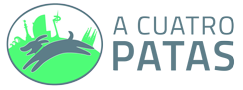 A cuatro patas