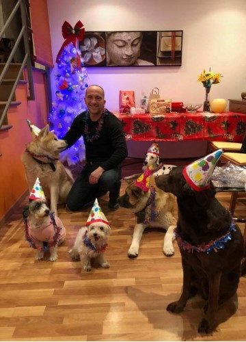 Residencia canina