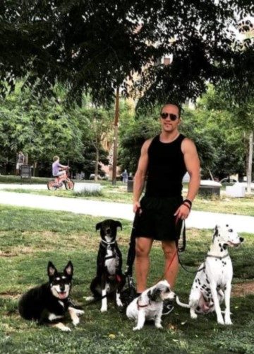 Paseos