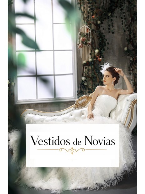 Vestido con plumas.