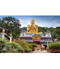 Sri Lanka Maravillosa 8 Días-Con o Sin Vuelos