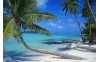 Crucero desde Cuba con Habana de regalo- 10 días