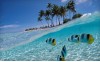 Todo Incluido Cayo Santa María con Panamá de regalo 7 días